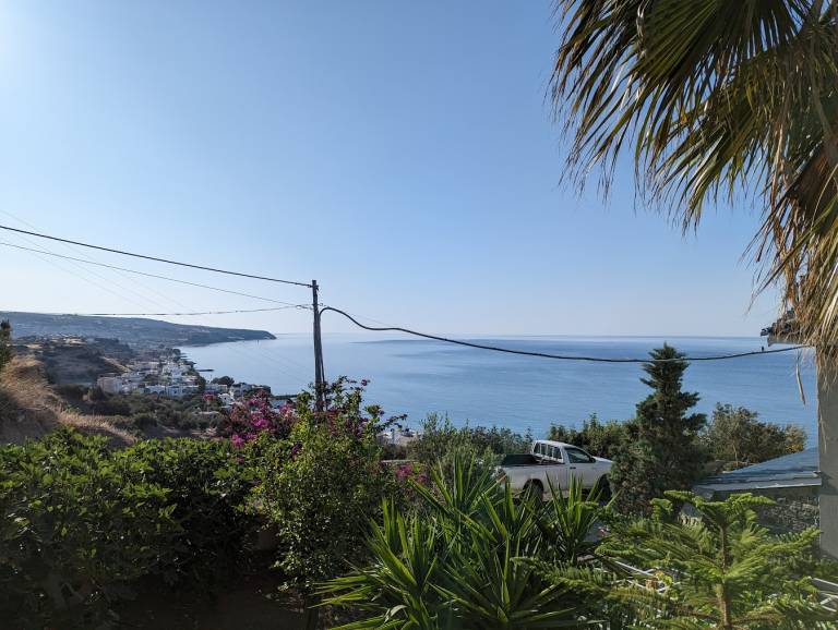 foto4