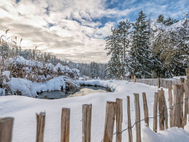 Ferienwohnung Breitenberg