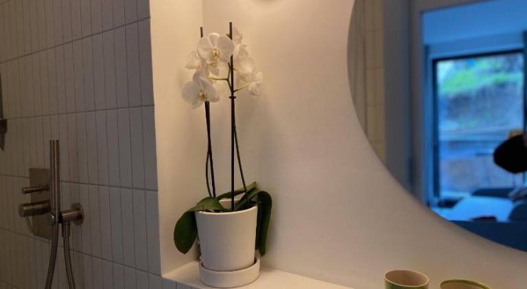 foto8