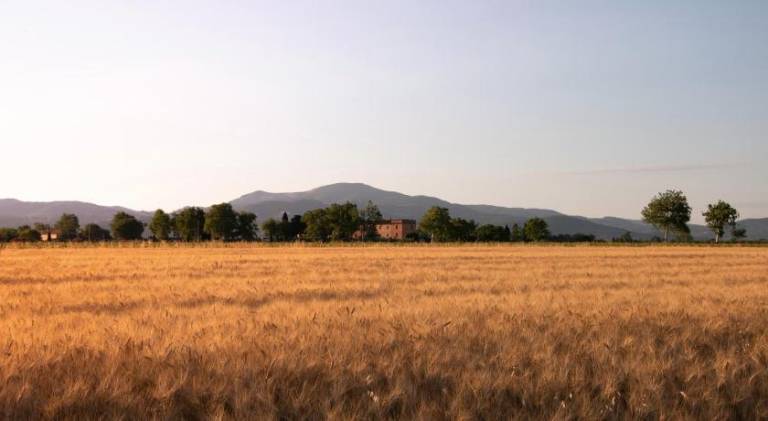 Agriturismo Il Pescinone in Piombino