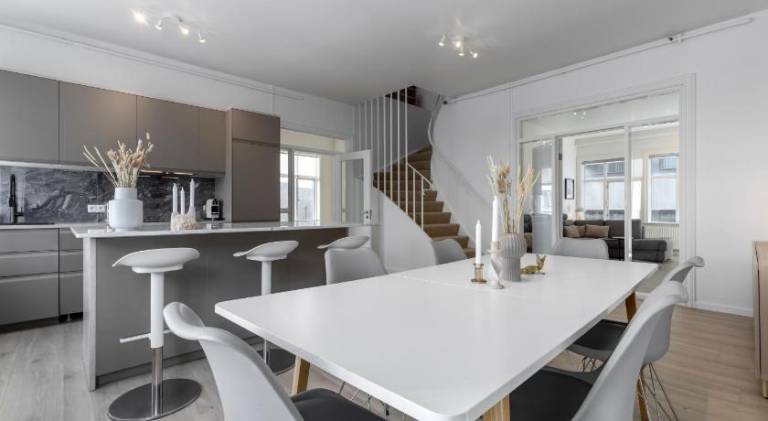Rental apartment | Near Harpa | Dogs allowed in Reykjavik