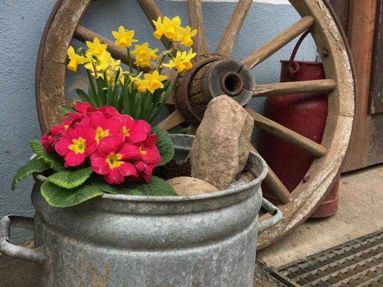 foto20