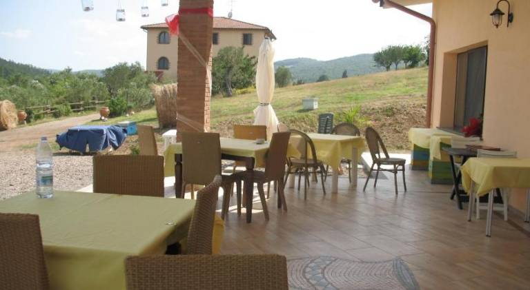 Family-oriented farm with patio, BBQ & yard | Pets are welcome — photo 3