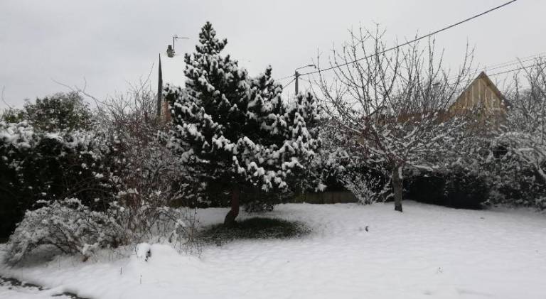 foto5