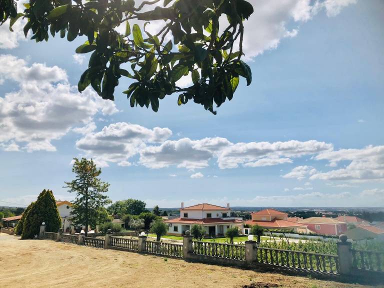 Quinta  Quinta do Anjo