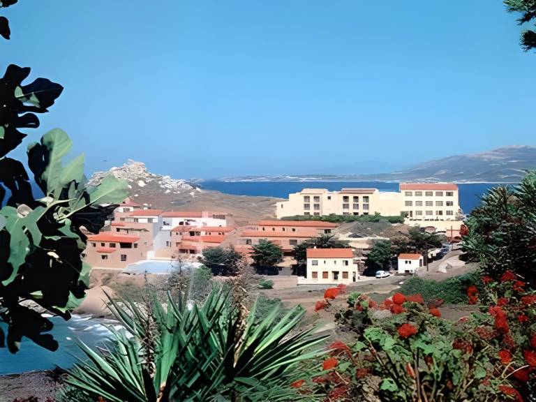 Charming serviced apartment with patio | Pet-friendly in Calvi
