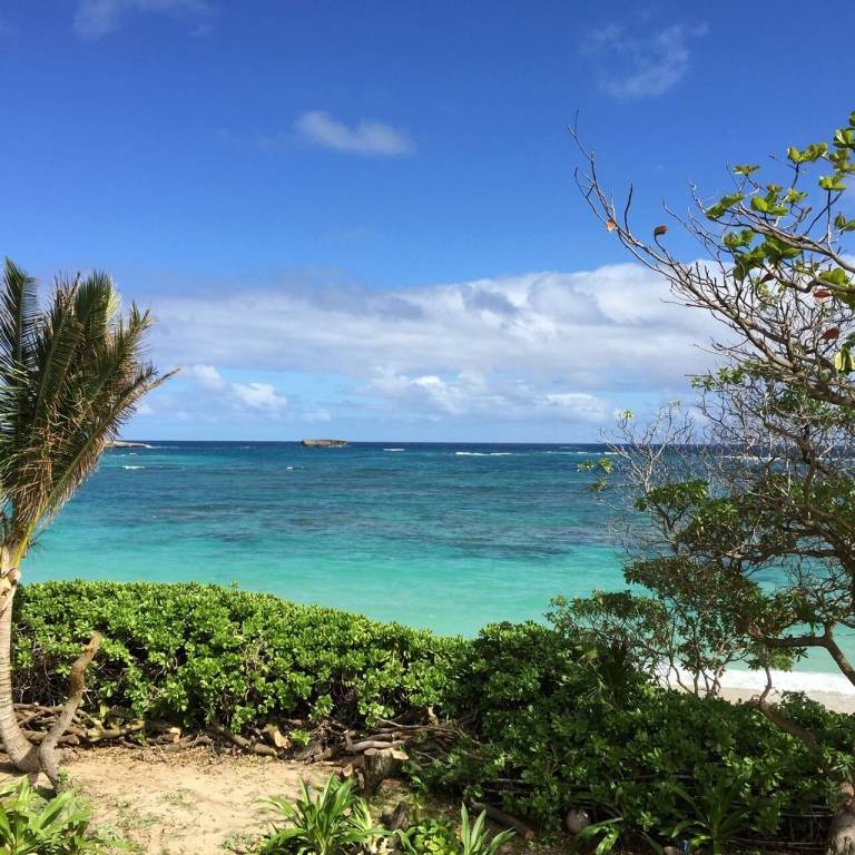 House Laie