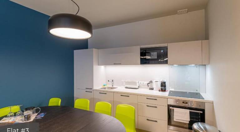 Dandelion Apartments Brivibas — photo 3