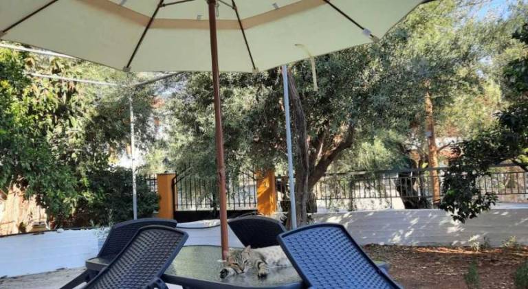 Beautiful vacation home | Pets are welcome in South Kynouria