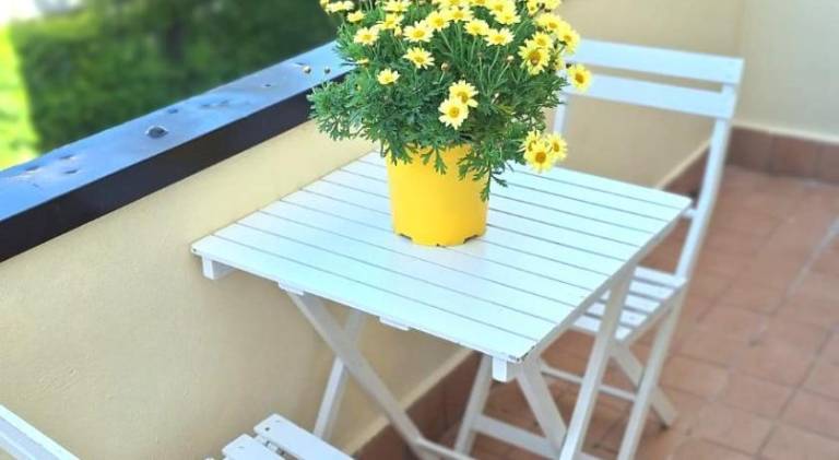 Charming rental apartment | Pets are welcome — photo 5