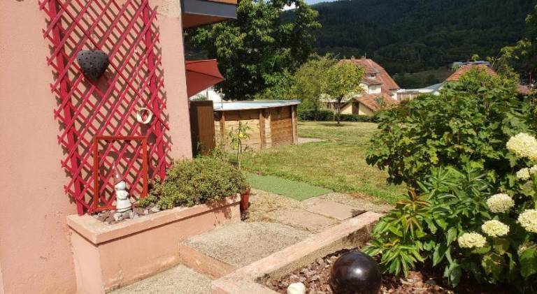 foto8