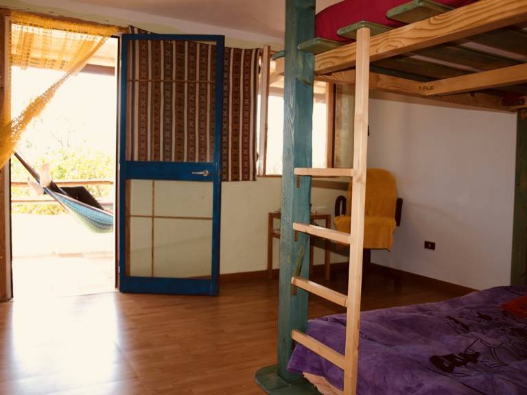 foto1