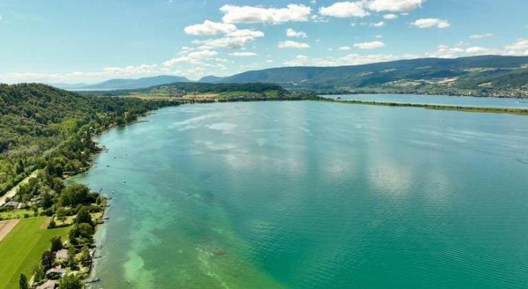 foto42