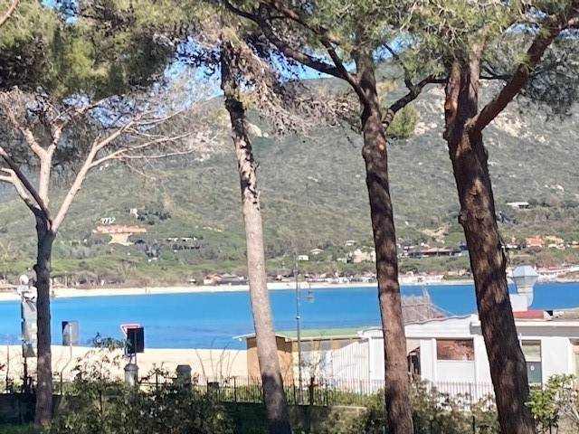 Family-oriented apartment | Sea view | Close to the beach | Pets are welcome — photo 4