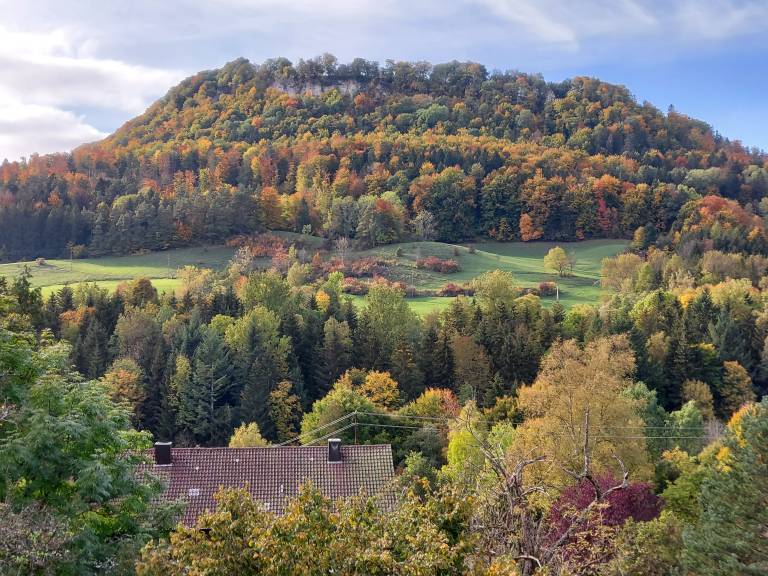foto26