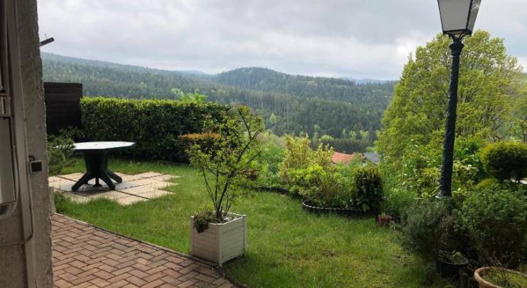 foto11