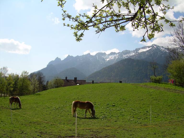 foto10