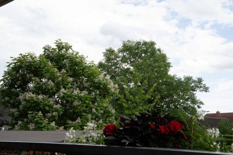 Ferienwohnung Liebethal