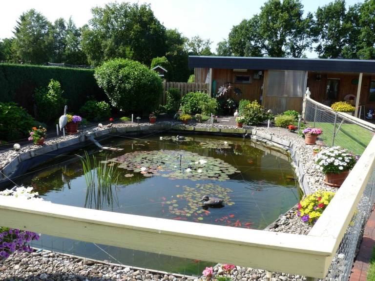 foto16