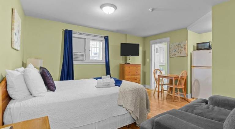 Pleasant serviced apartment | Pets allowed in St. John's, NL