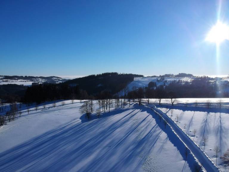 foto41