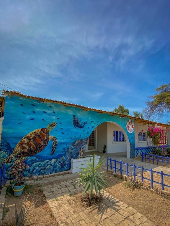 Casa Chelonia