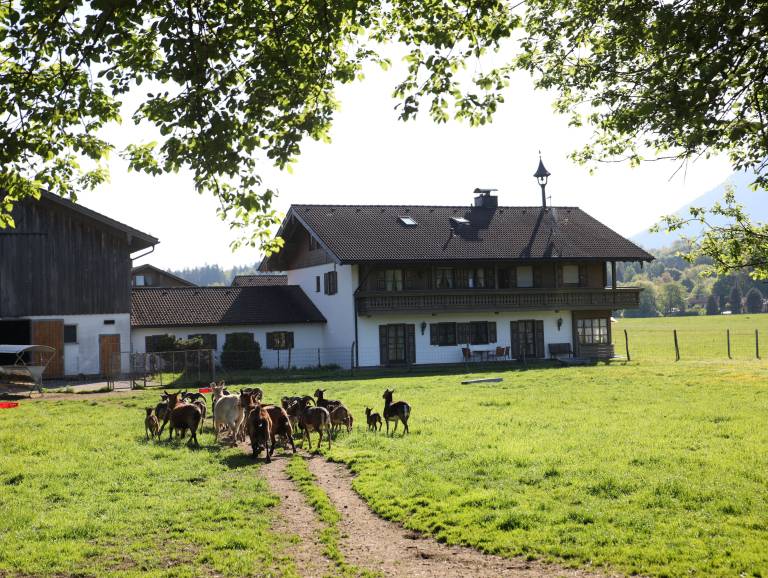 foto10