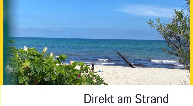 Holiday apartment | Beach nearby | Pets are welcome in Kuehlungsborn