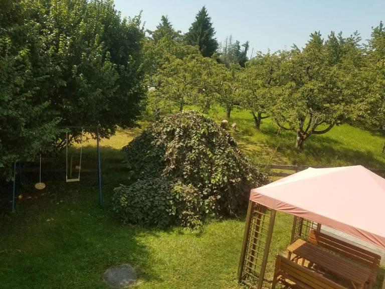 foto31