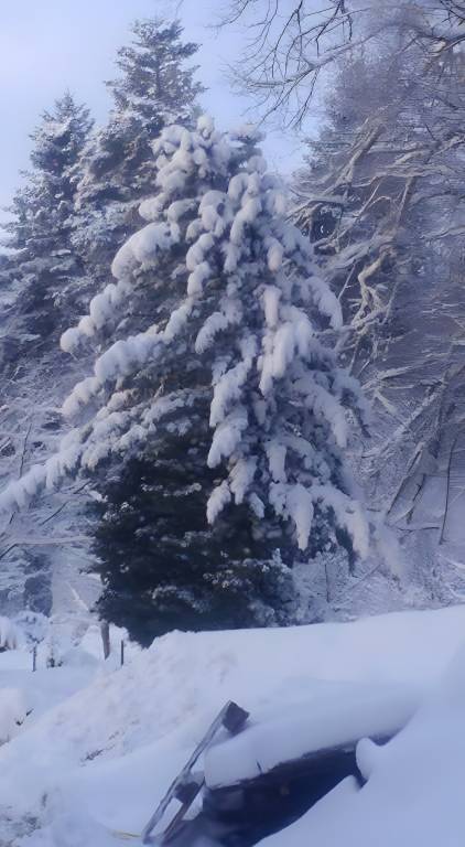 foto30