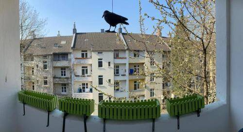 Apartment Nordmarkt-Ost