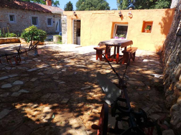foto15