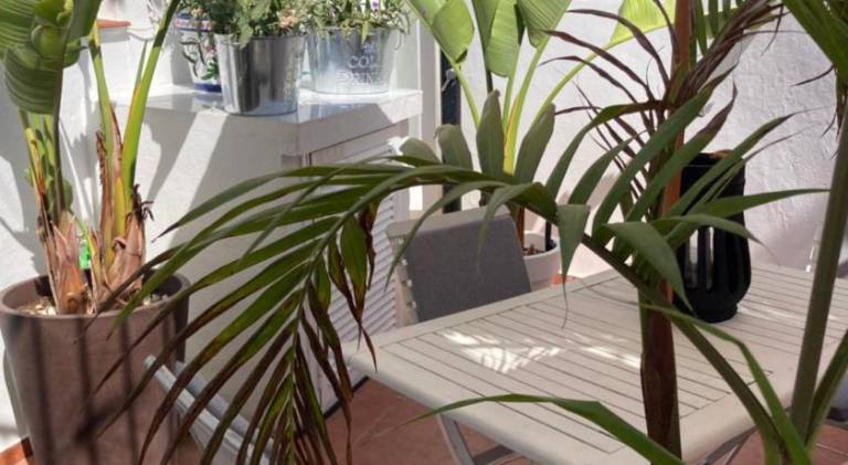 House with patio & barbecue in Estepona
