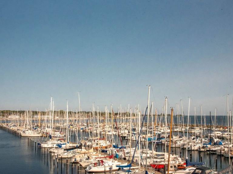 foto12