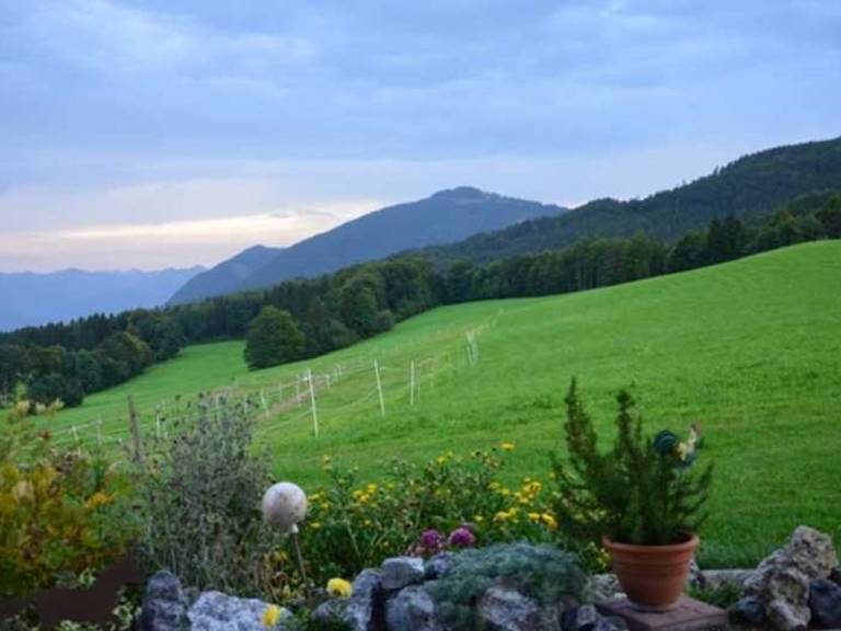 foto22
