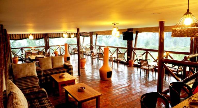 Da Vinci Gorilla Lodge — photo 3