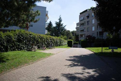 foto11
