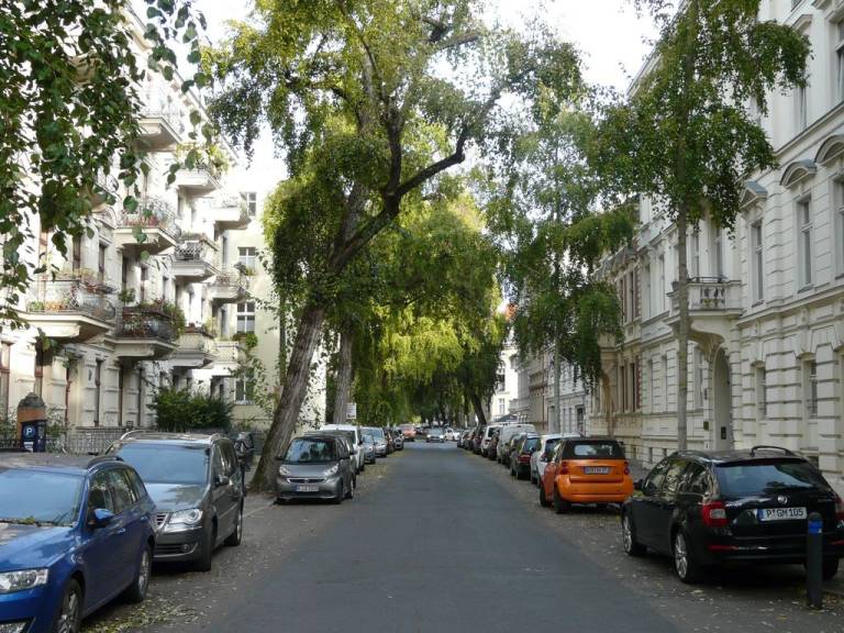 foto11