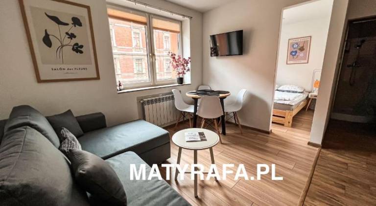 Beautiful rental apartment with pool | Dogs allowed in Tarnow