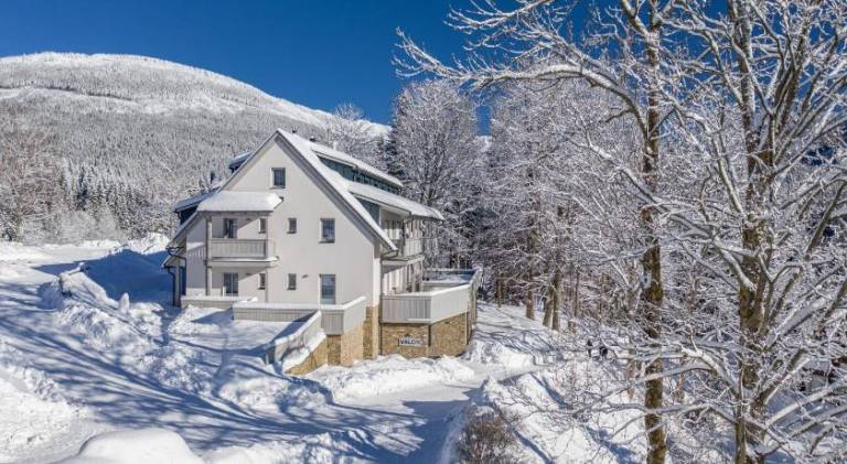 Ferienwohnung Spindlermühle