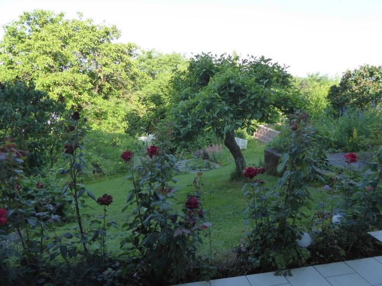 foto17