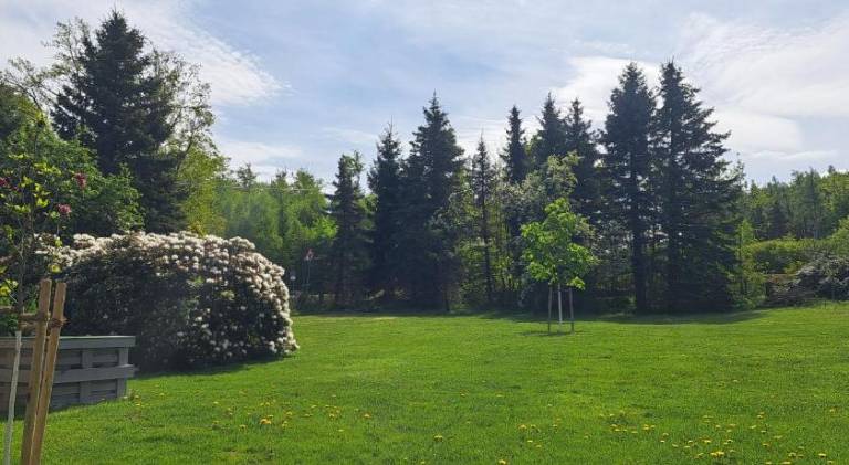 foto22