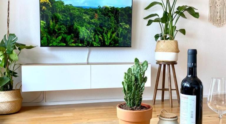 Lovely holiday apartment | Pets allowed — photo 5