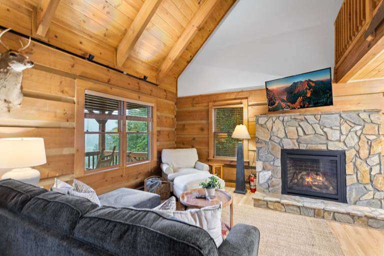 Delightful Cabin near Blue Ridge Mountains — photo 4