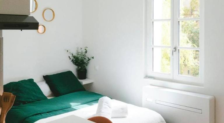 Nice apartment | Next to Capitole de Toulouse | Good for workation | Dogs allowed in Toulouse