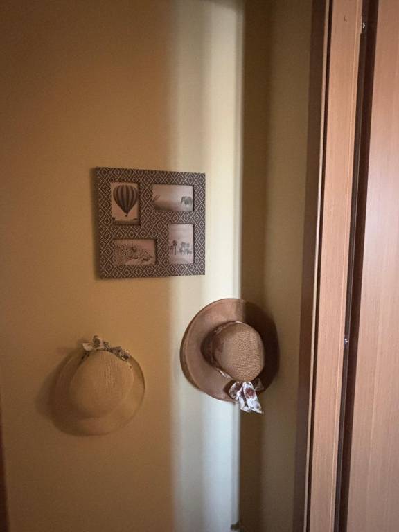 foto7