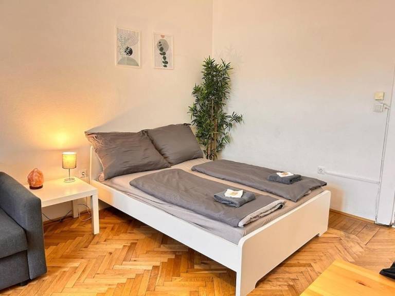 Cozy Spacious Flat for 6People in Vienna Town