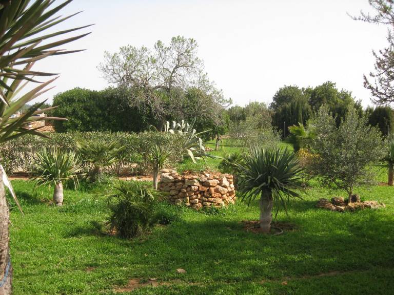 foto4