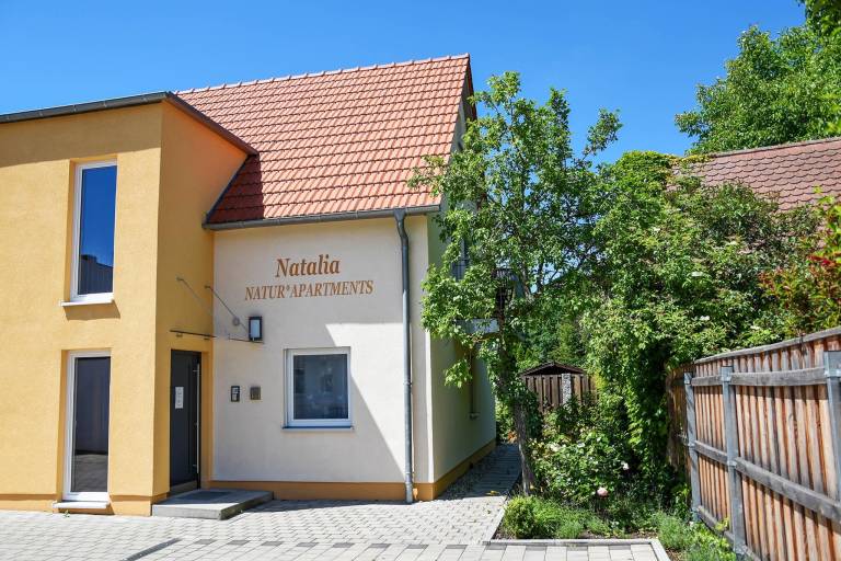 foto1