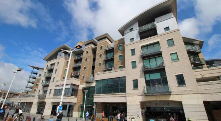 Beautiful rental apartment | Beach nearby | Pet-friendly — photo 4